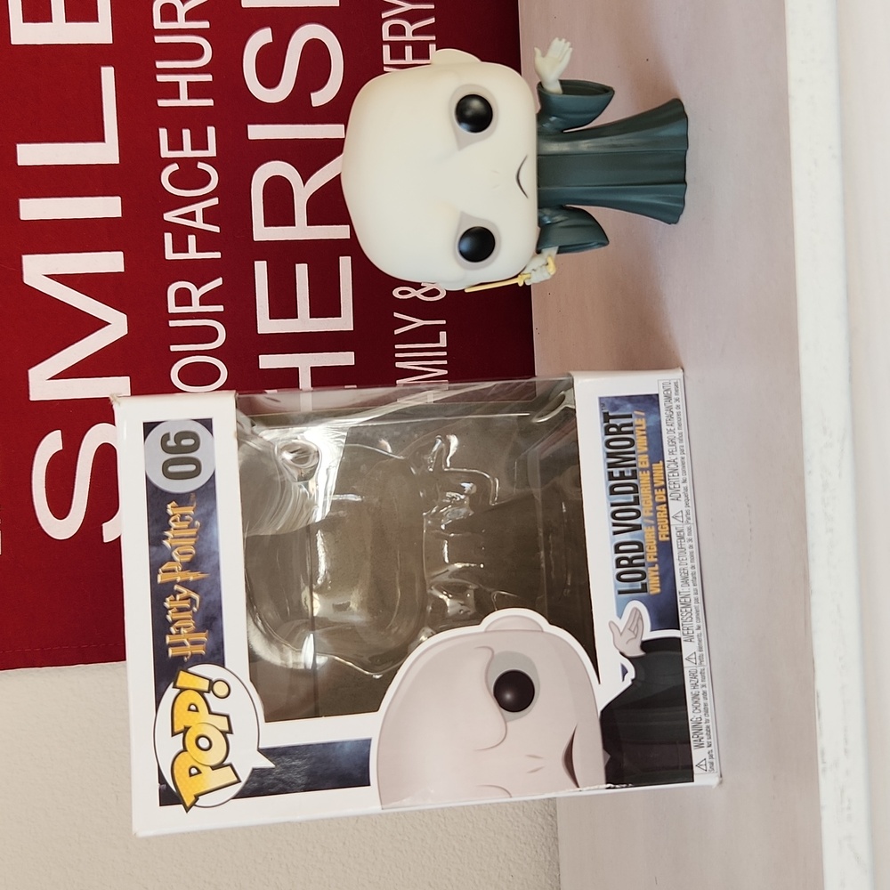 HARRY POTTER FUNKO LORD VOLDEMORT #06